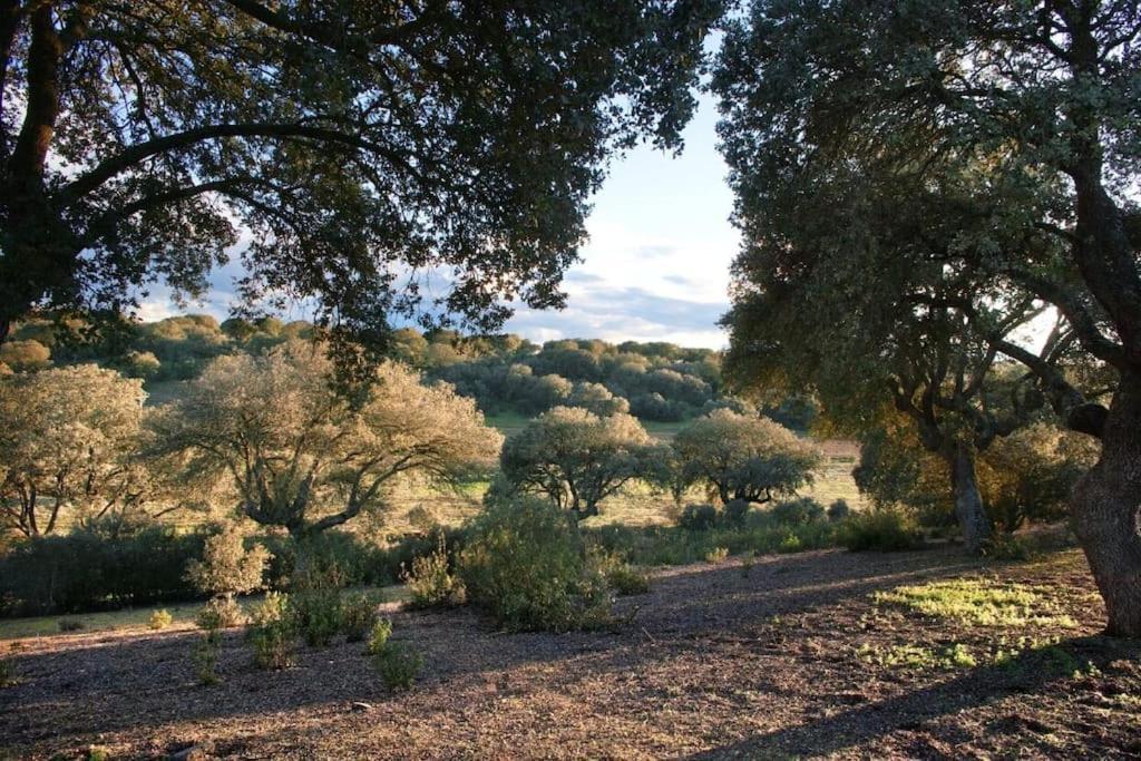 Casa Rural Finca Requejo Cerca De Benavente Tr 49426 Manganeses de la Polvorosa Dış mekan fotoğraf